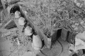 Vignette pour la version du 23 juin 2016 à 11:55