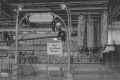 Vignette pour la version du 15 juillet 2015 à 10:28