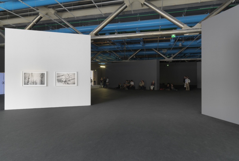 Fichier:M5050 X0031 MUS 201204 015 P.jpg