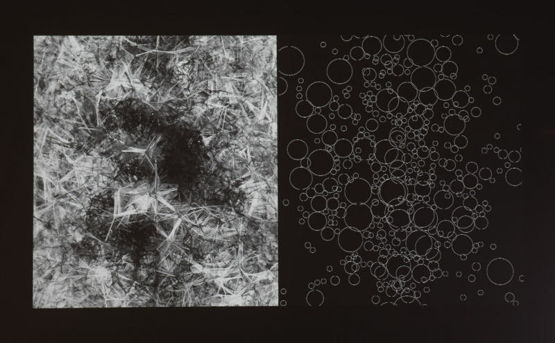 Fichier:M5050 X0031 MUS 201205 001 P.jpg
