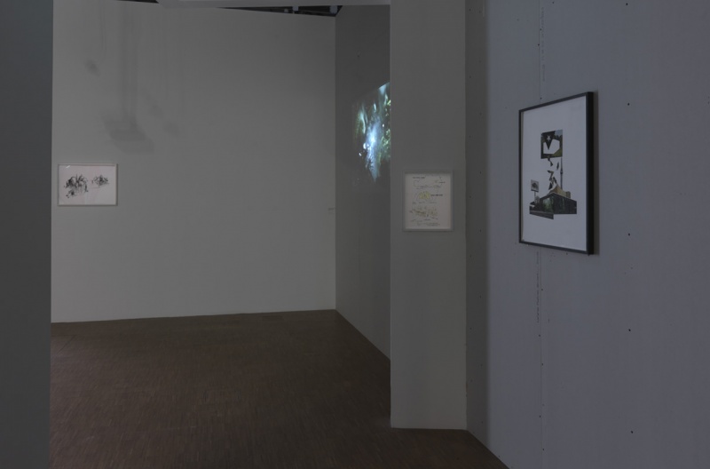 Fichier:M5050 X0031 MUS 201310 017 P.jpg